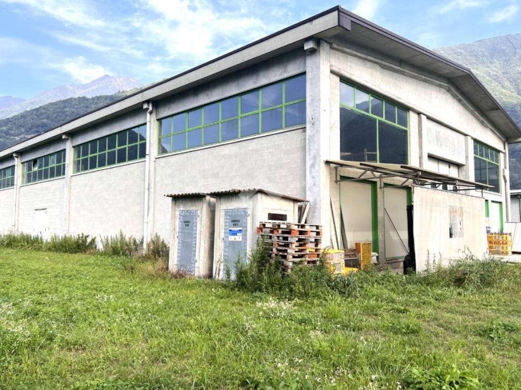 immagine annuncio 5 di 15