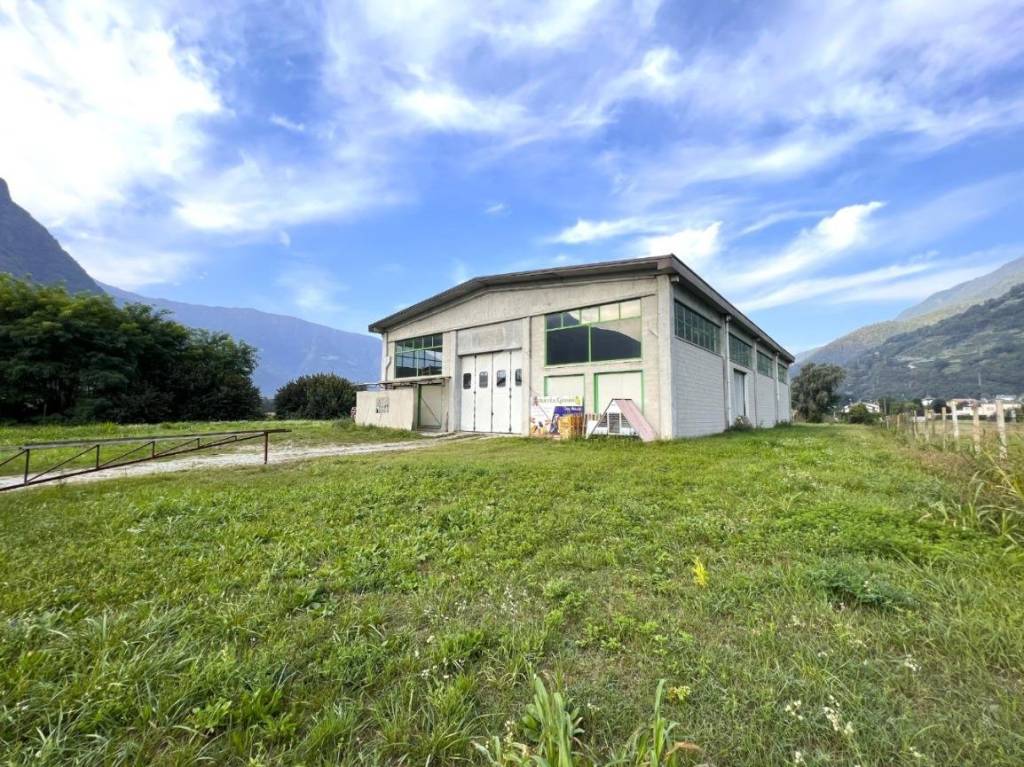 immagine annuncio 7 di 15