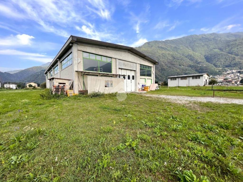 immagine annuncio 8 di 15