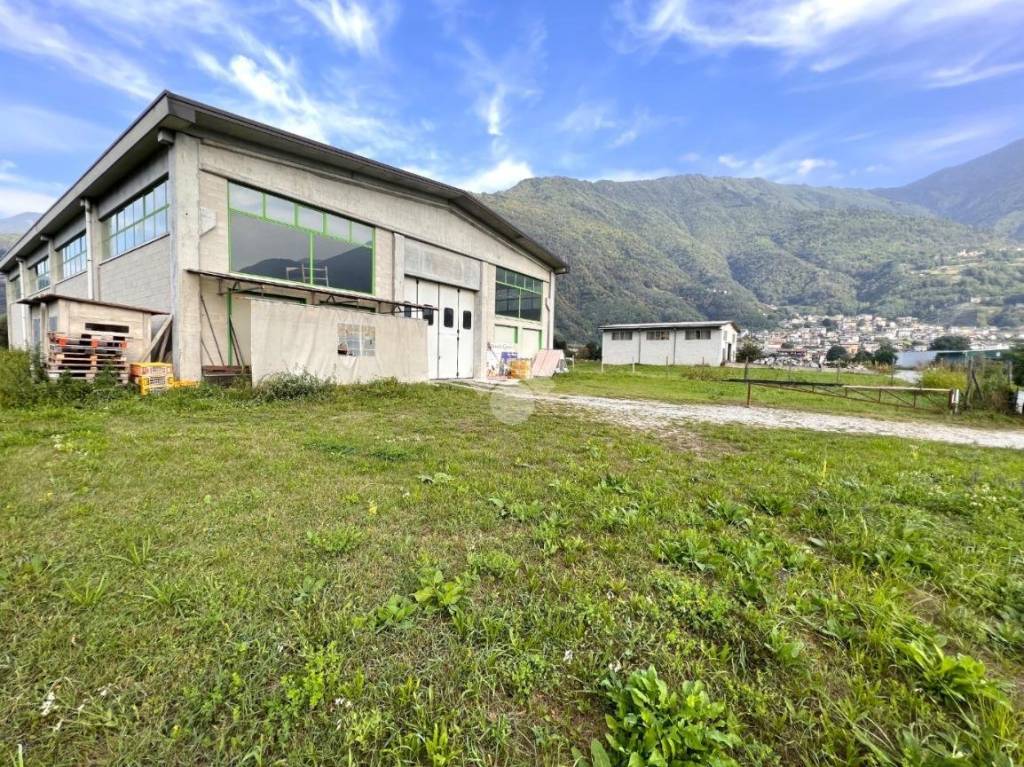 immagine annuncio 9 di 15