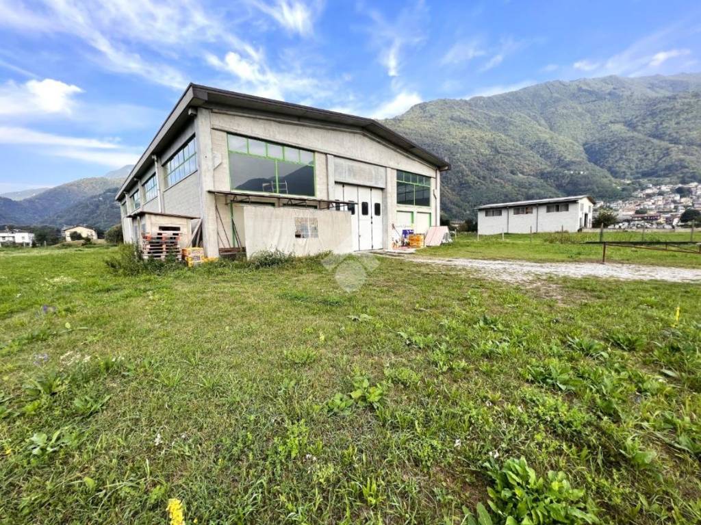 immagine annuncio 10 di 15