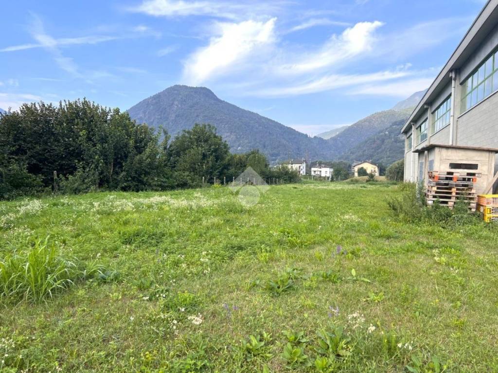 immagine annuncio 11 di 15