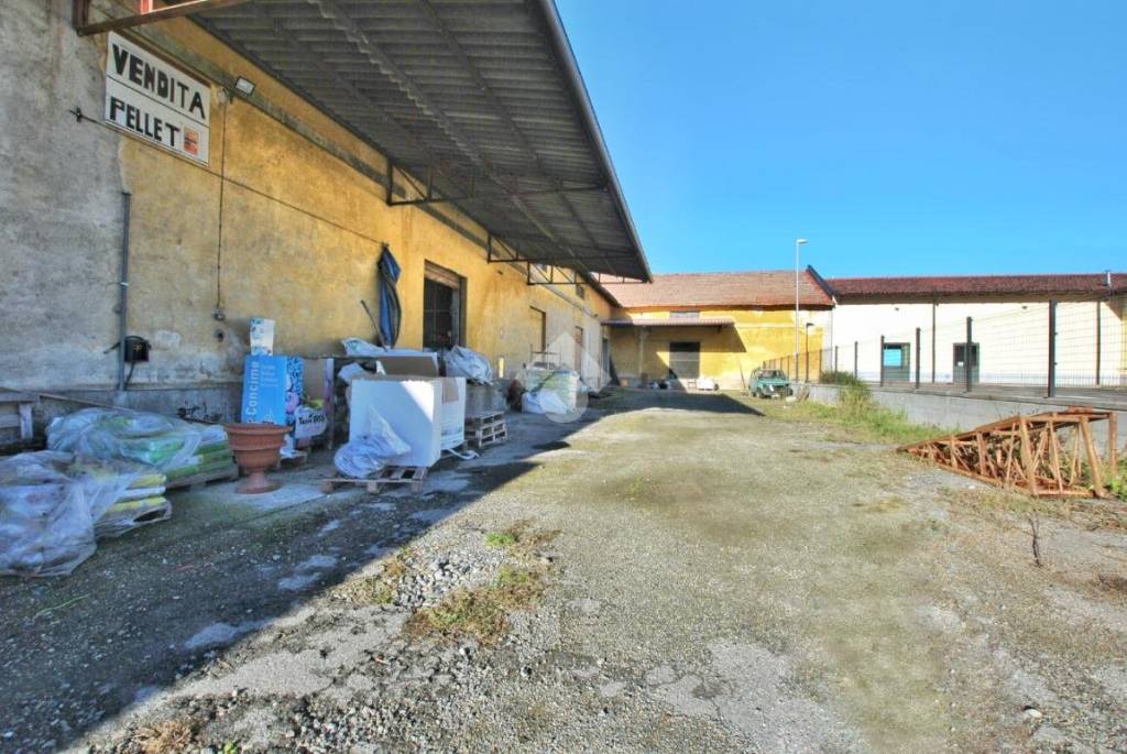 immagine annuncio 6 di 14