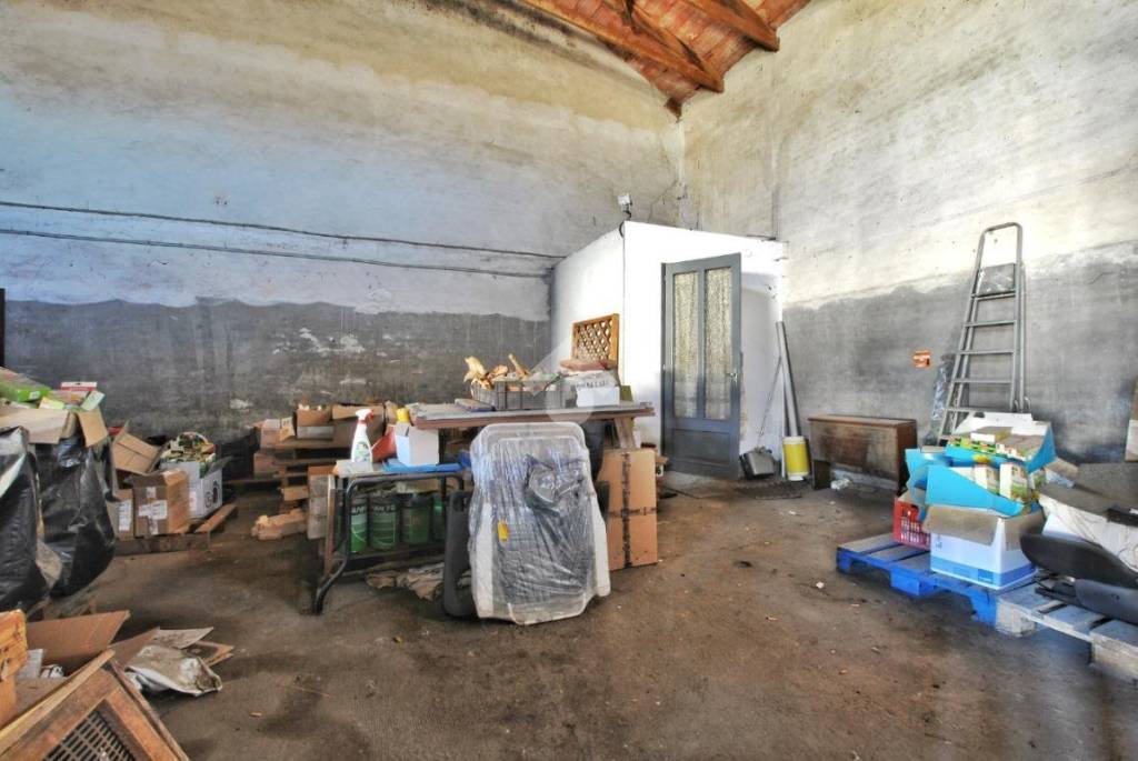 immagine annuncio 11 di 14