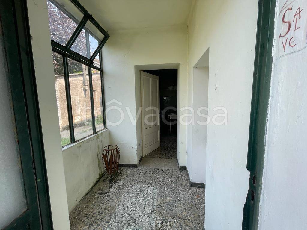 immagine annuncio 3 di 14