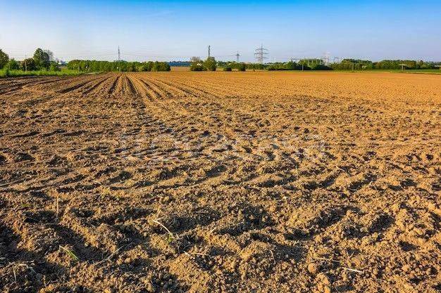 Terreno Agricolo in vendita a Baia e Latina sp289