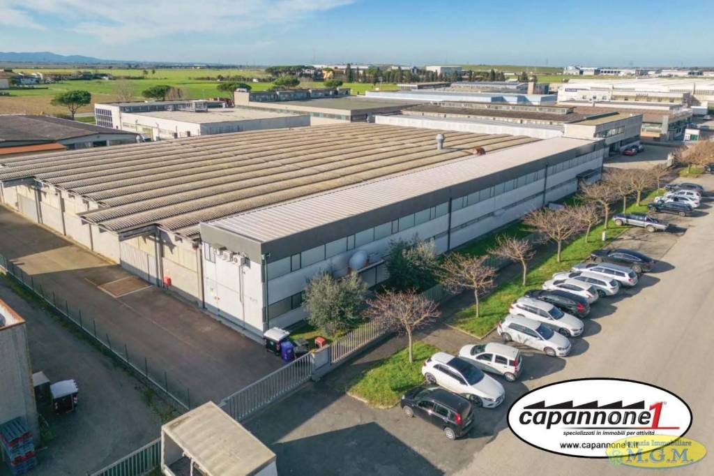 Capannone Industriale in affitto a Pontedera