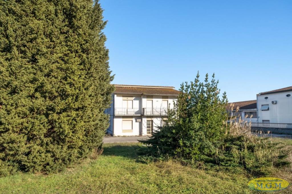 immagine annuncio 3 di 4