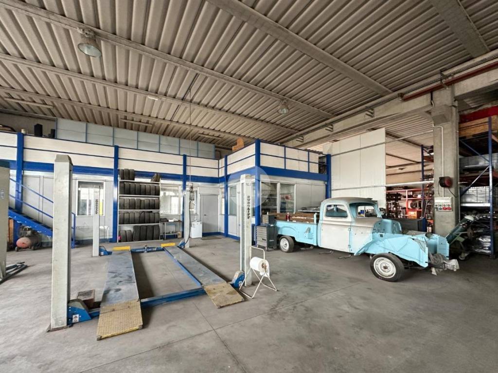 immagine annuncio 2 di 15