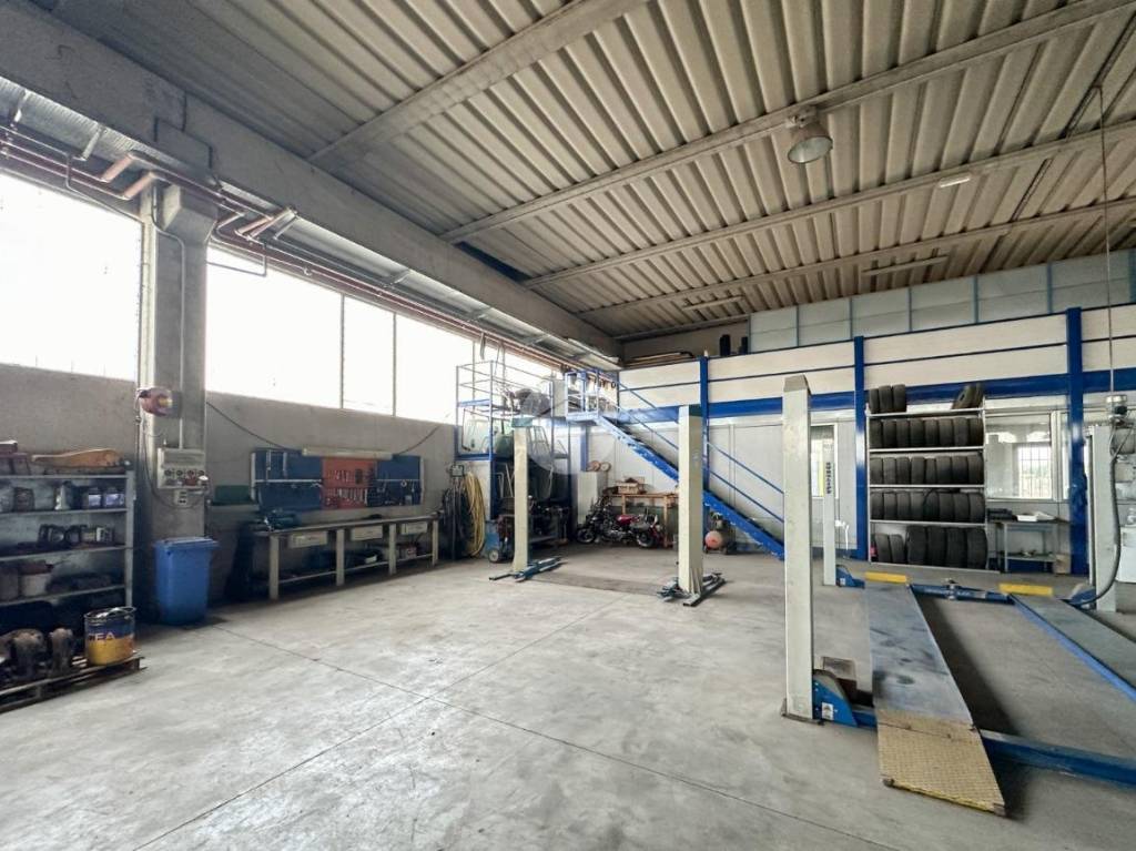 immagine annuncio 3 di 15