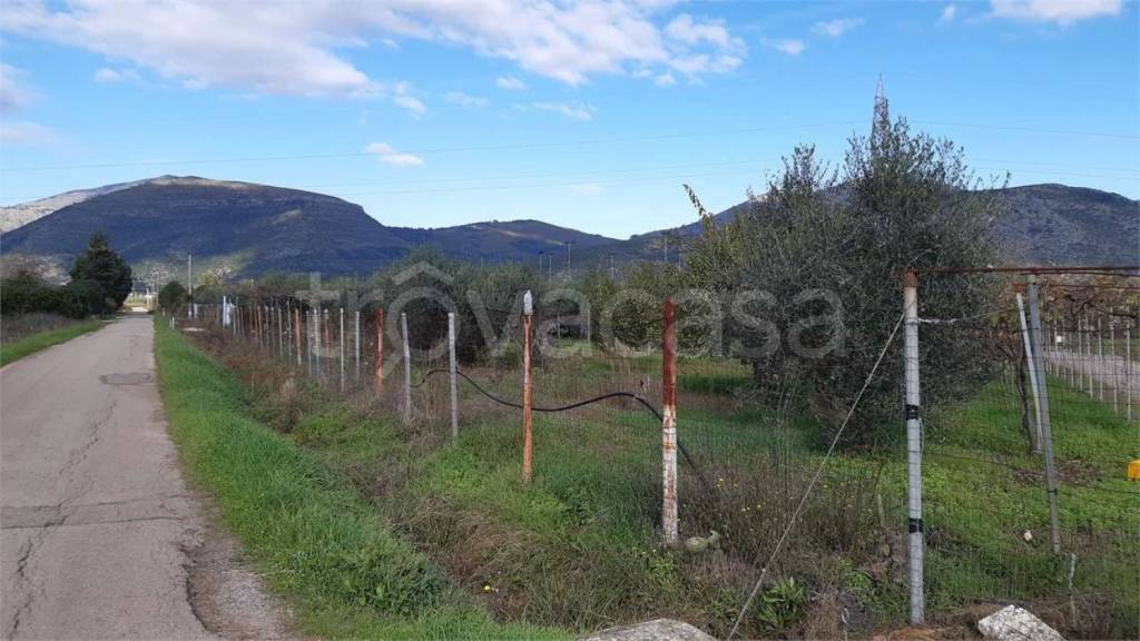 immagine annuncio 4 di 8