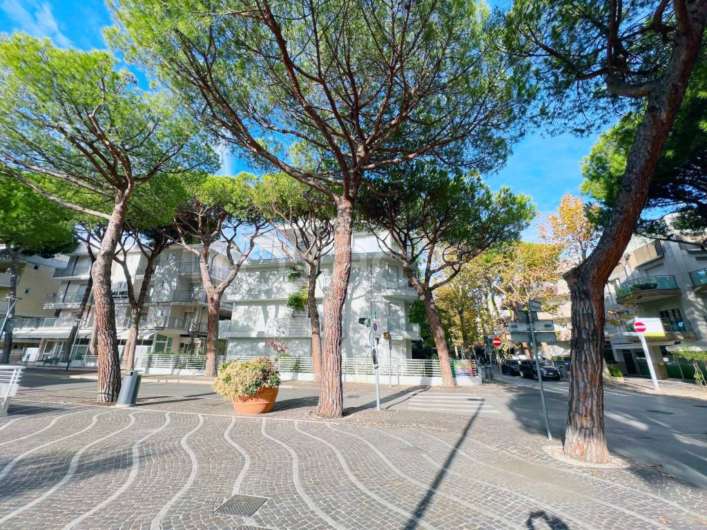 Appartamento in vendita a Riccione viale Trento Trieste, 118