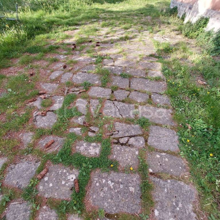 immagine annuncio 5 di 7