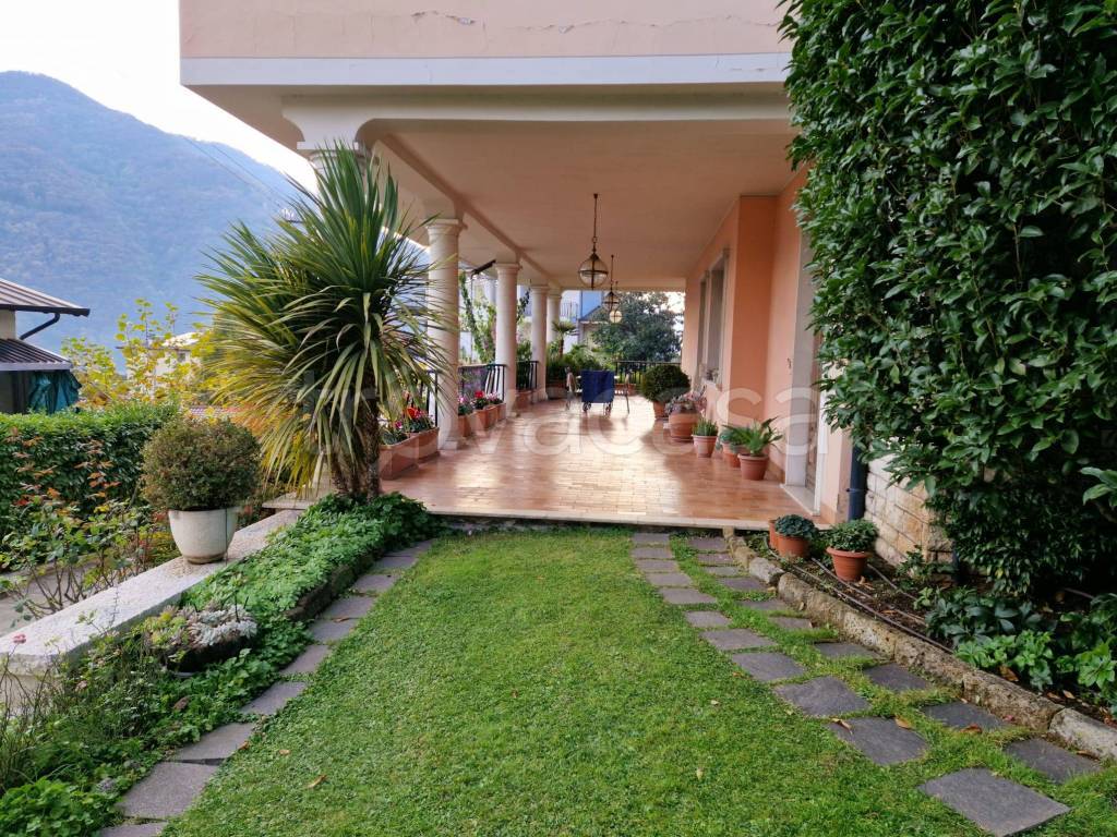 immagine annuncio 11 di 15