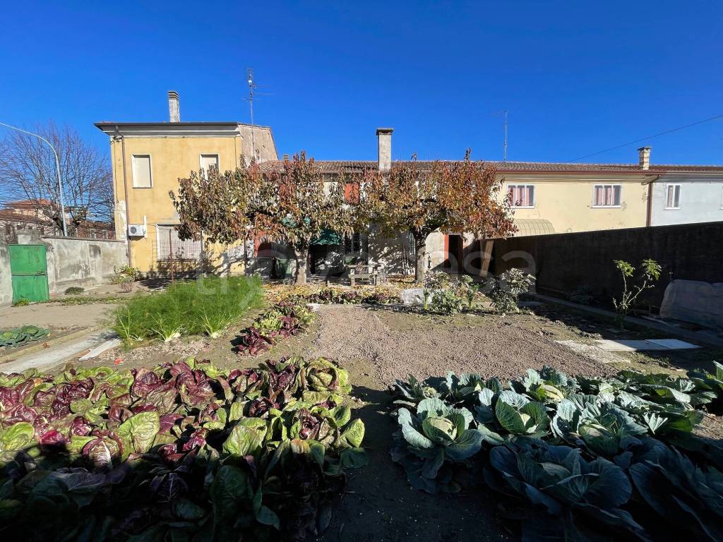 immagine annuncio 1 di 13