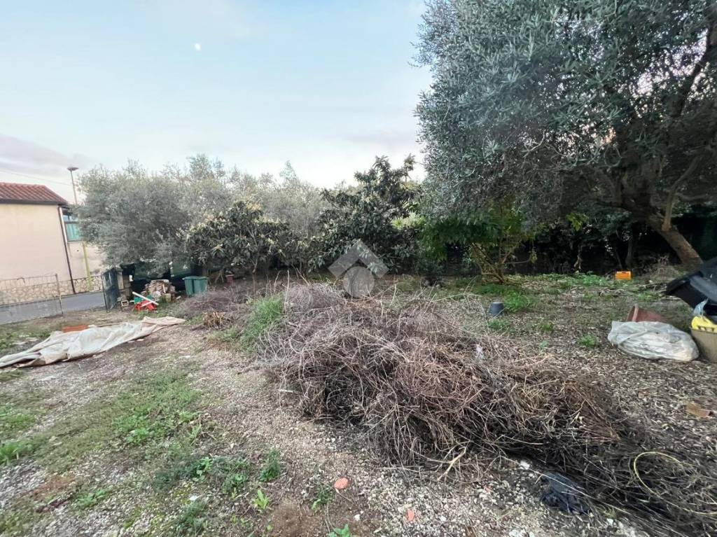 immagine annuncio 12 di 13