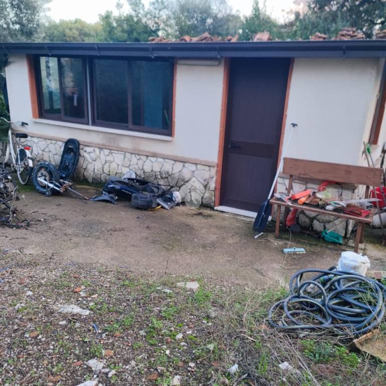 immagine annuncio 11 di 13