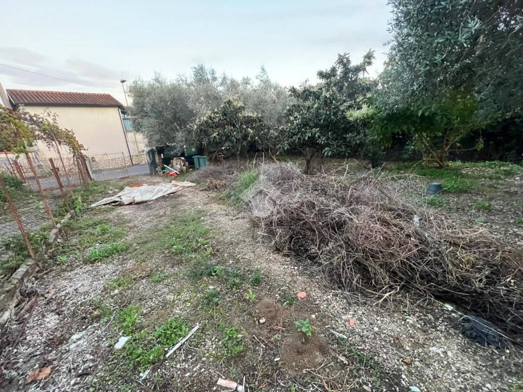 immagine annuncio 8 di 13