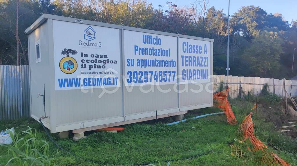 immagine annuncio 12 di 15