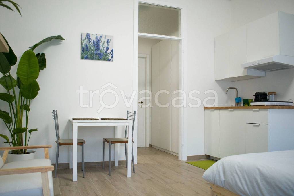 Loft in affitto a Cremona via Martiri di Sclemo