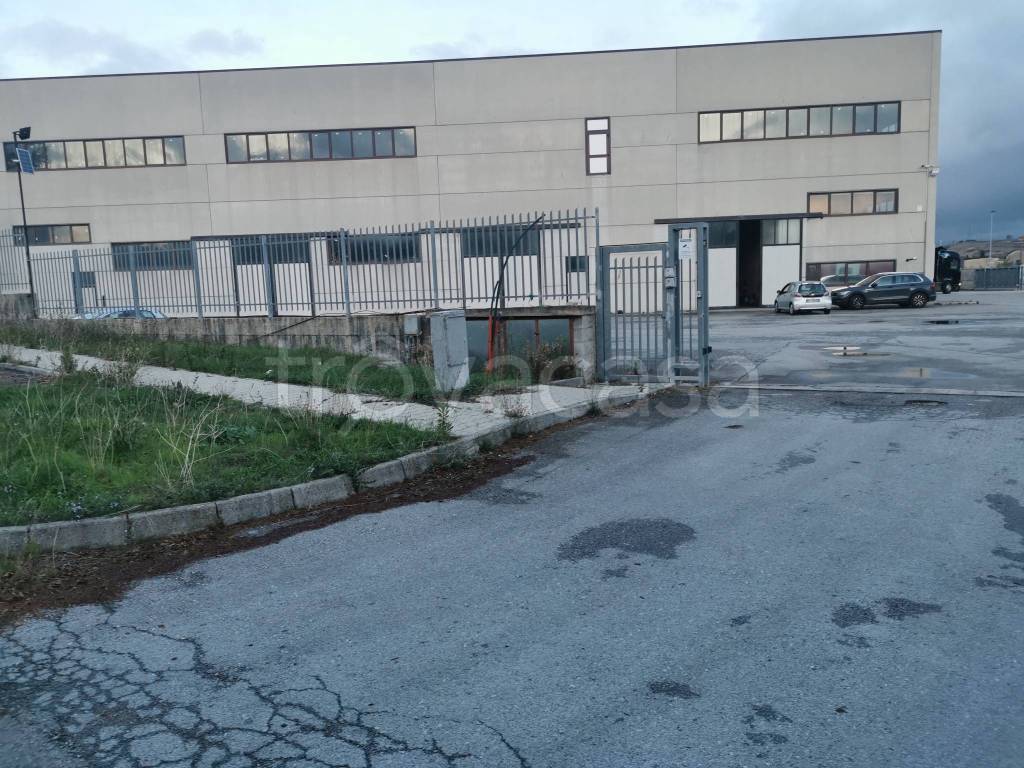immagine annuncio 11 di 13