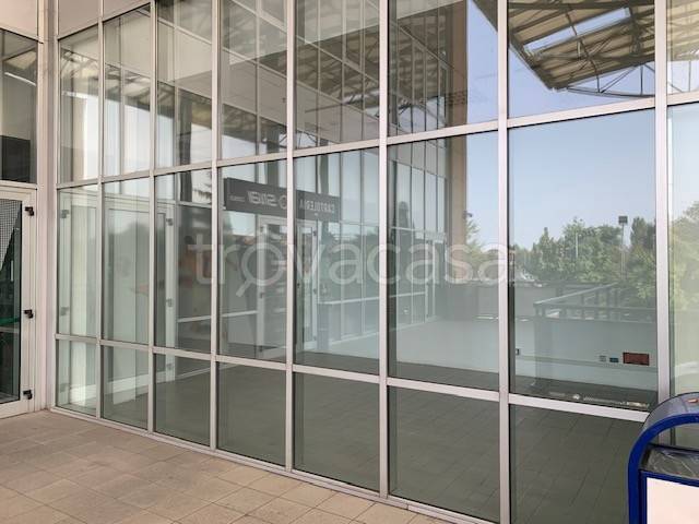 immagine annuncio 1 di 6