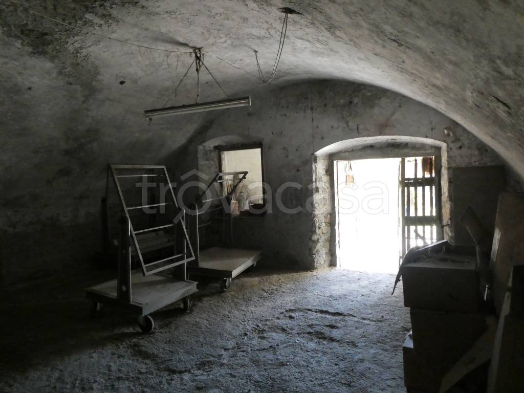 immagine annuncio 11 di 14