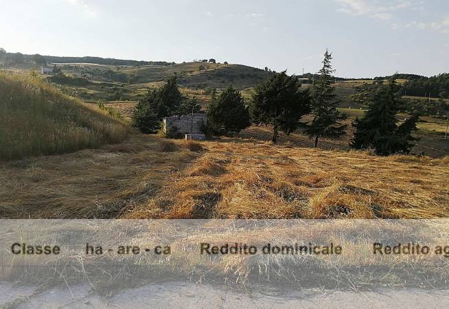 Terreno Agricolo in vendita a Savoia di Lucania c.Da Perolla