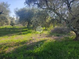 Terreno residenziale in vendita a castel sant'elia via civita castellana