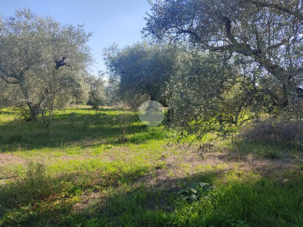 immagine annuncio 3 di 9