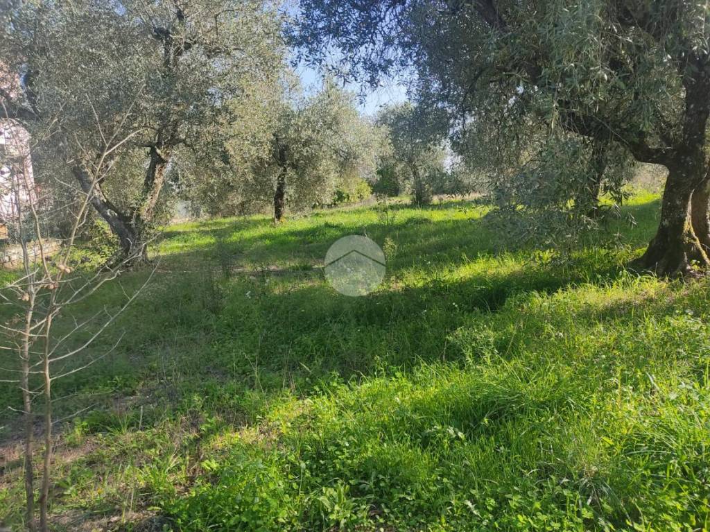 immagine annuncio 4 di 9