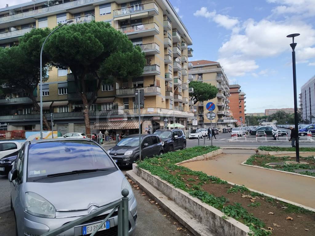 Appartamento in in vendita da privato a Roma viale Marco Fulvio Nobiliore, 123