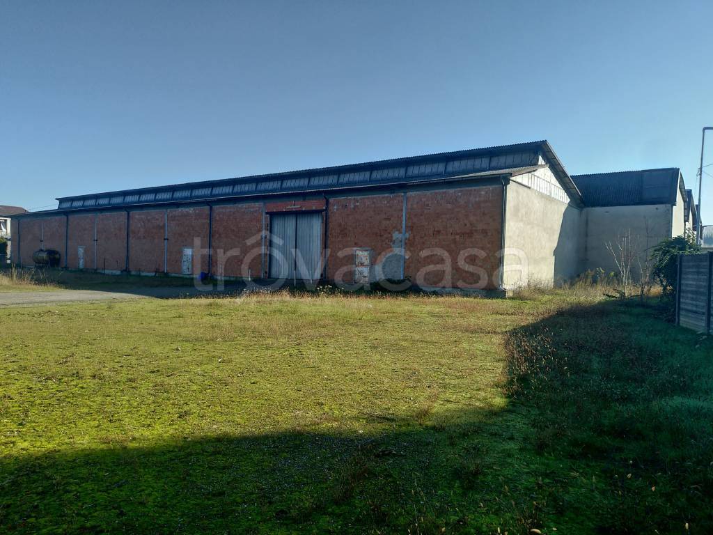 Capannone Industriale in affitto a Luzzara via Palmiro Togliatti, 9