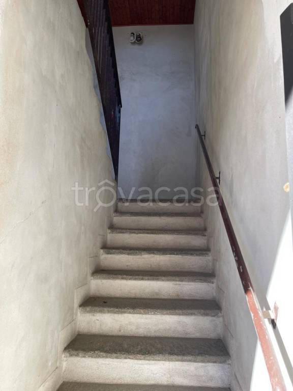 immagine annuncio 12 di 14