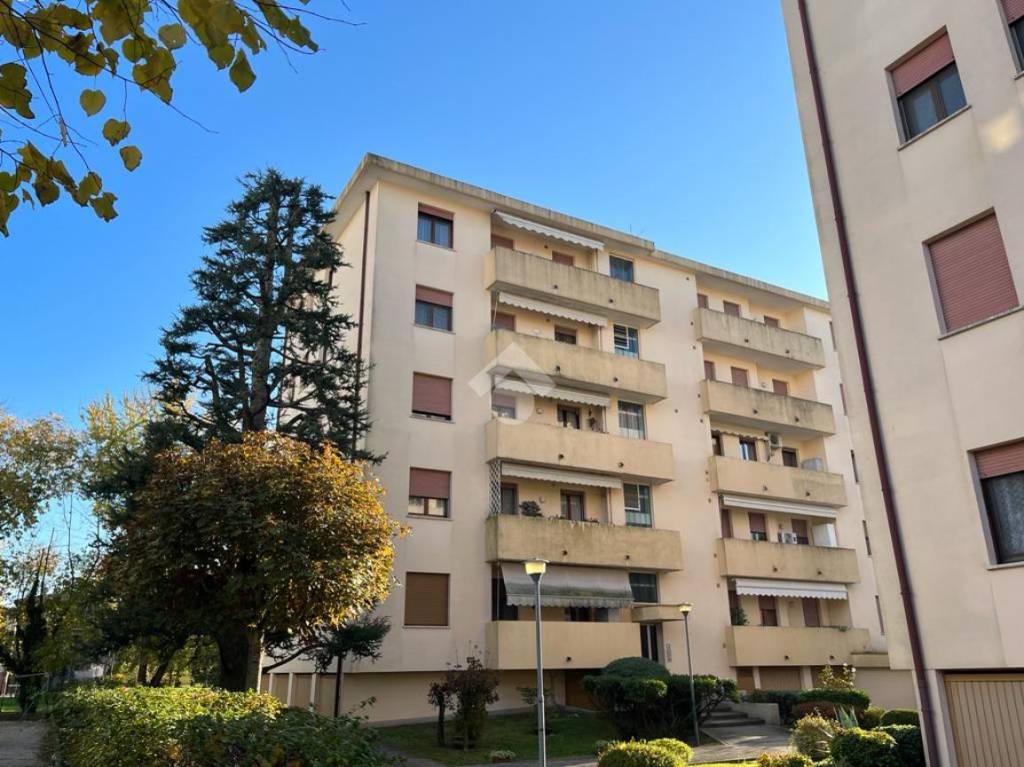Appartamento in vendita a Rovigo via Alessandro Scarlatti, 14