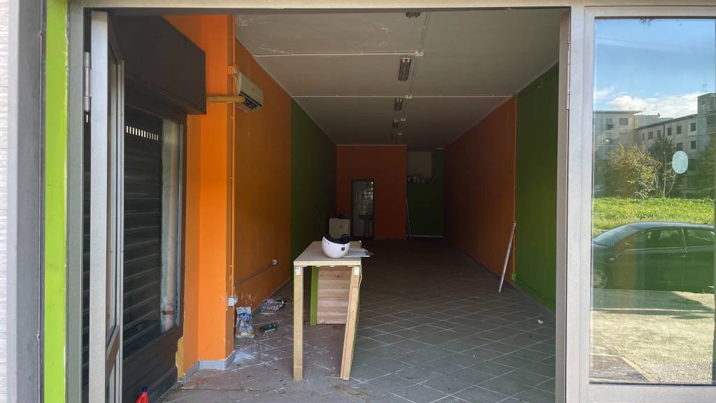 immagine annuncio 3 di 11