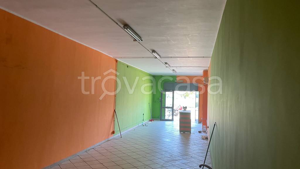 immagine annuncio 6 di 11