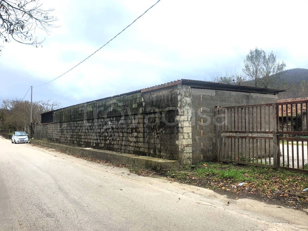 immagine annuncio 11 di 12