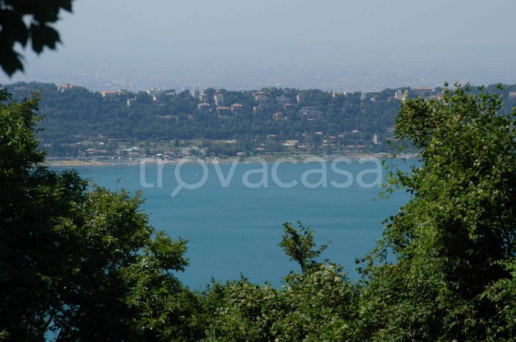 immagine annuncio 3 di 14