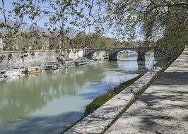 Attico in vendita a Roma lungotevere Michelangelo