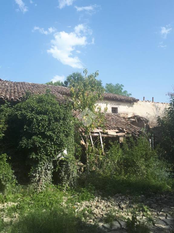immagine annuncio 3 di 14