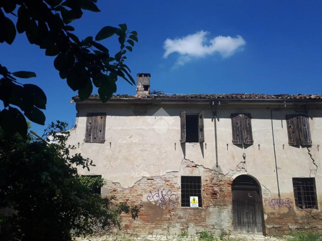 immagine annuncio 6 di 14