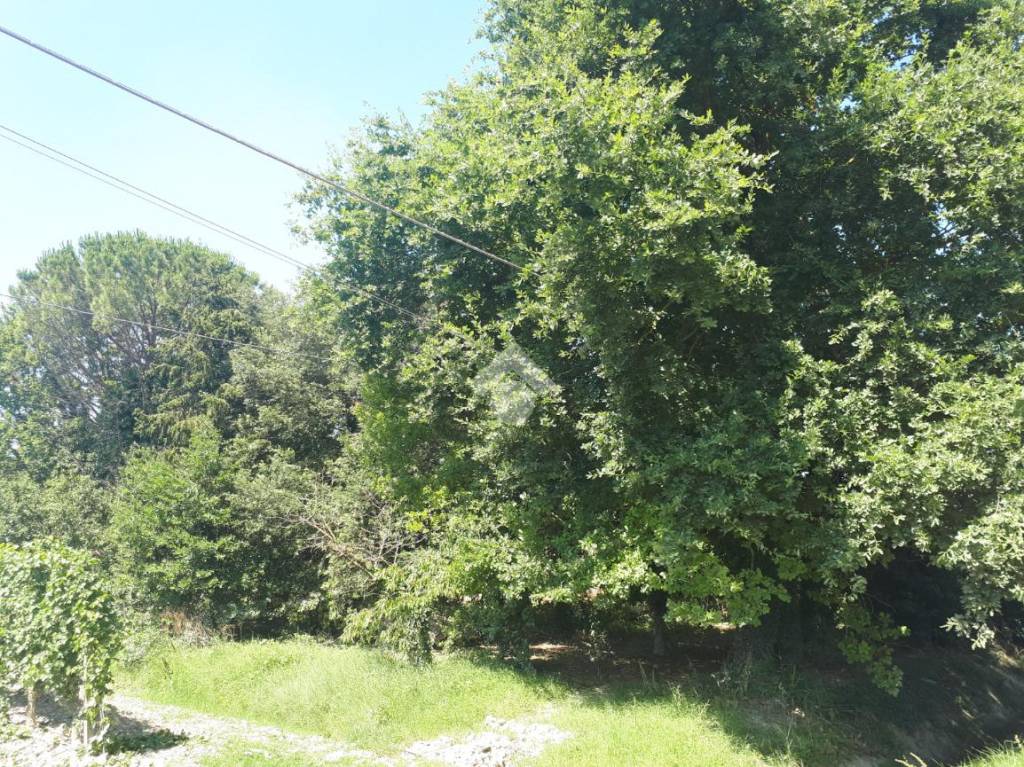 immagine annuncio 7 di 14