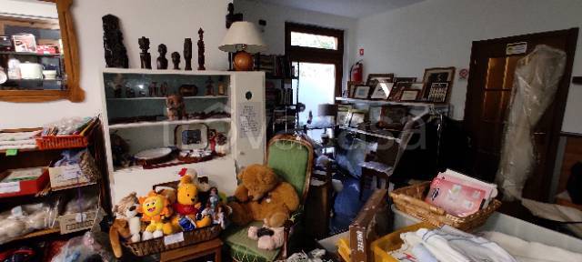 immagine annuncio 2 di 14