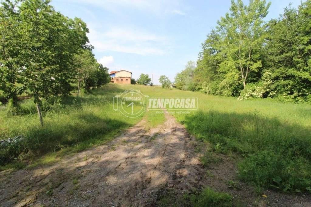 immagine annuncio 2 di 8