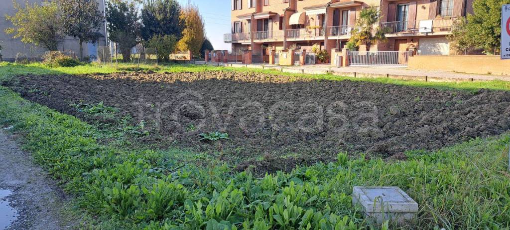immagine annuncio 2 di 9