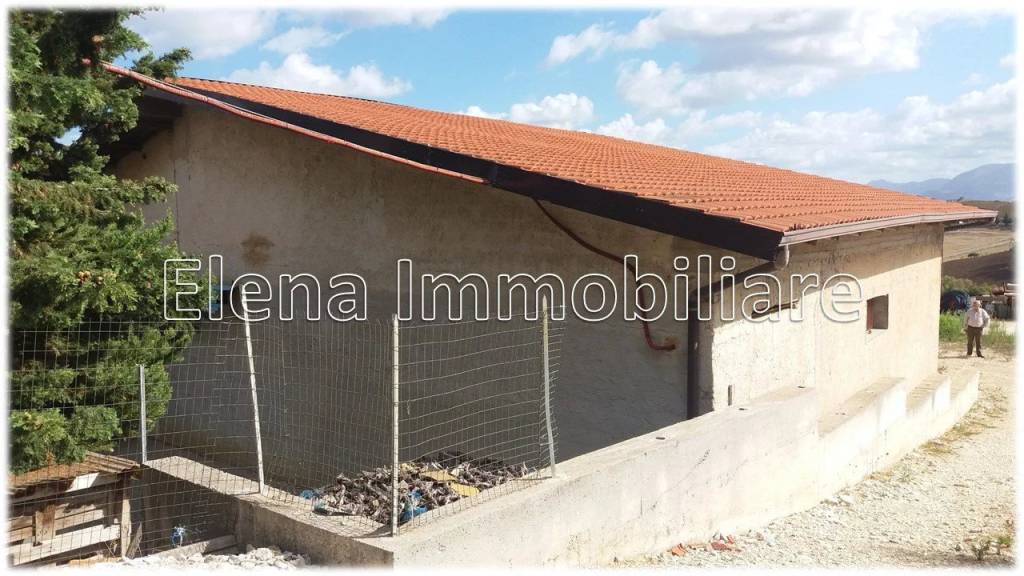 immagine annuncio 2 di 4