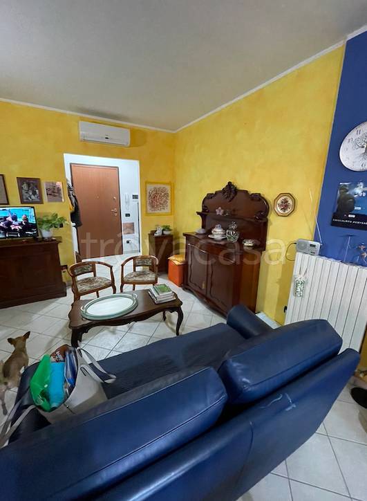 immagine annuncio 3 di 13