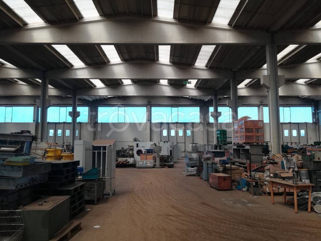 immagine annuncio 5 di 9