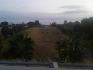 Terreno agricolo in affitto a marina di gioiosa ionica strada provinciale marina di gioiosa